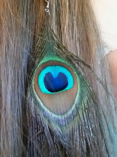 20120916_084726.jpg image