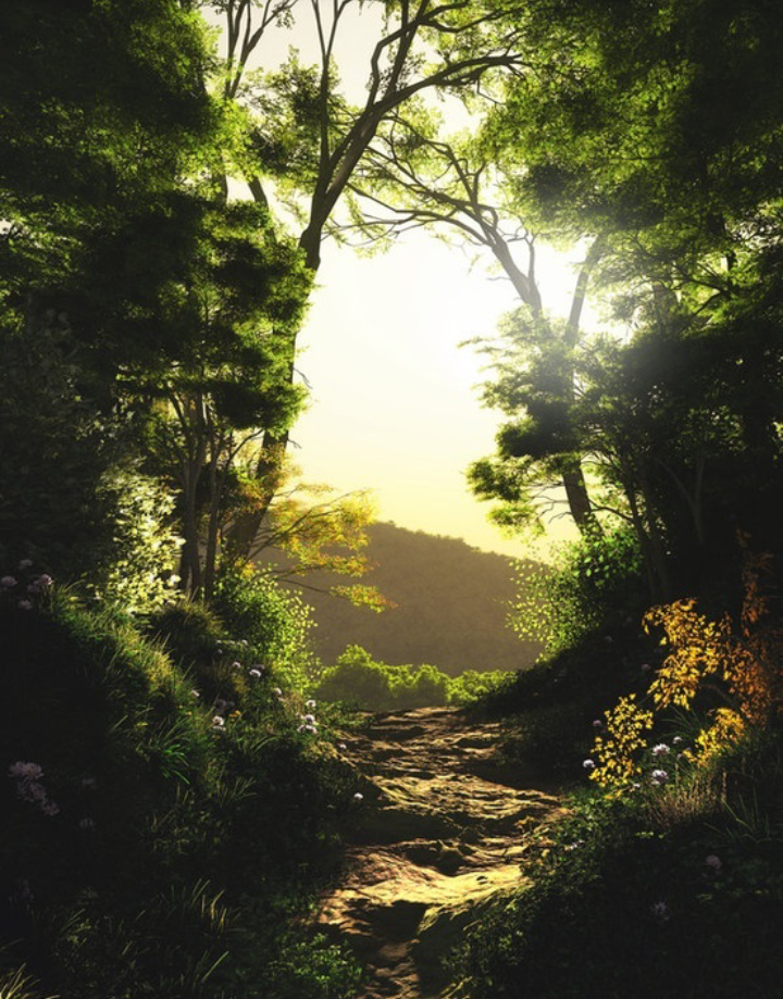 Screenshot_2013-01-21-13-08-03-1.png image