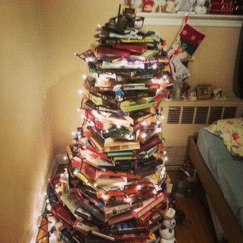 IMG_20131206_084231.jpg image