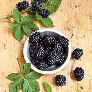 0e0890dfcedc26be7a79585dae727a61