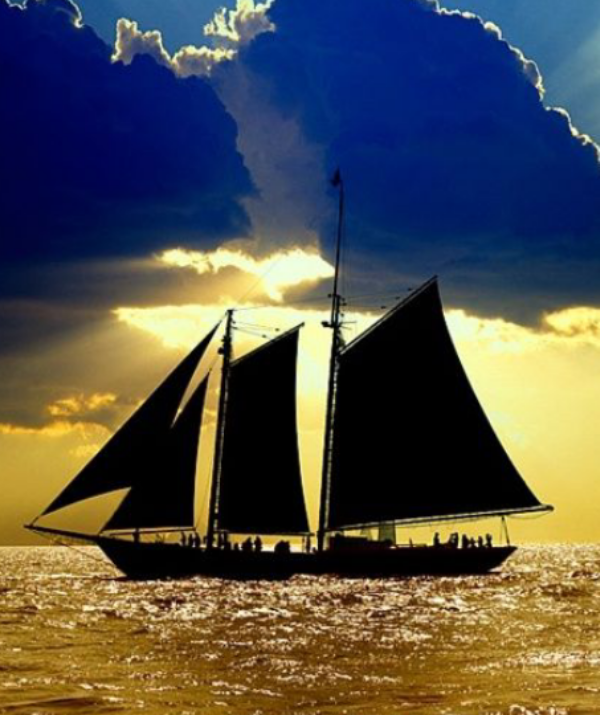 a well built shipper image