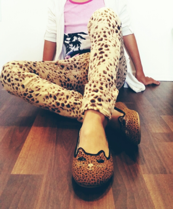 9 year old Fashionista cat shoes image