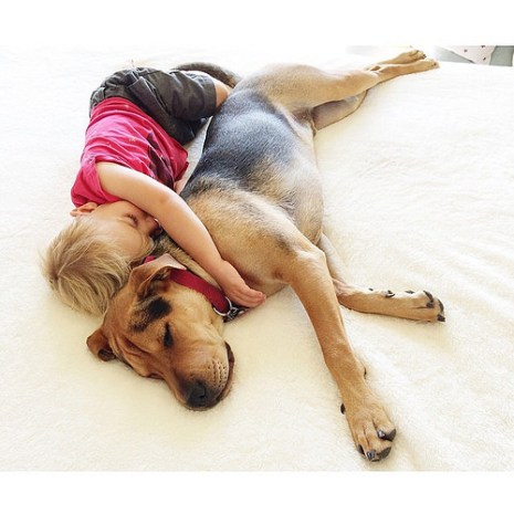 15336563015_0666945a4d