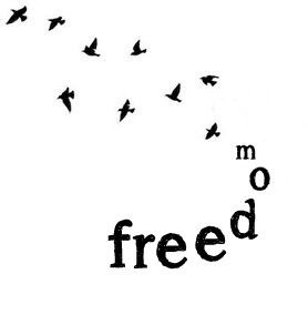 freedom in 2016 New Year