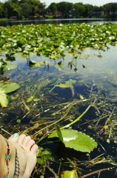 wp-1460124920061 image