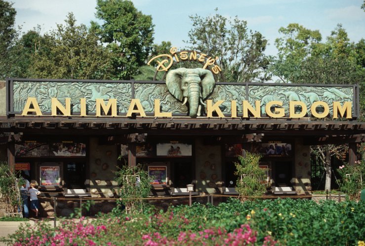 disney_animal_kingdom