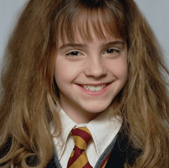 30 Days of Nerdy Hair Day 7 hermoine Granger Harry Potter blog post nerds