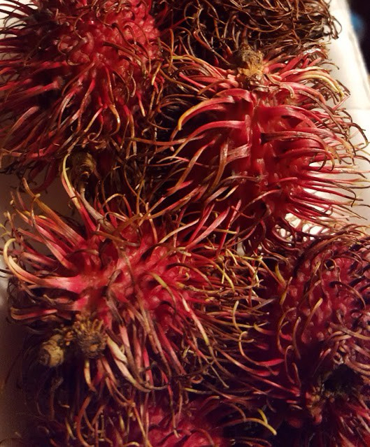 disney Princess Boot Camp Mulan Week Meal Plan