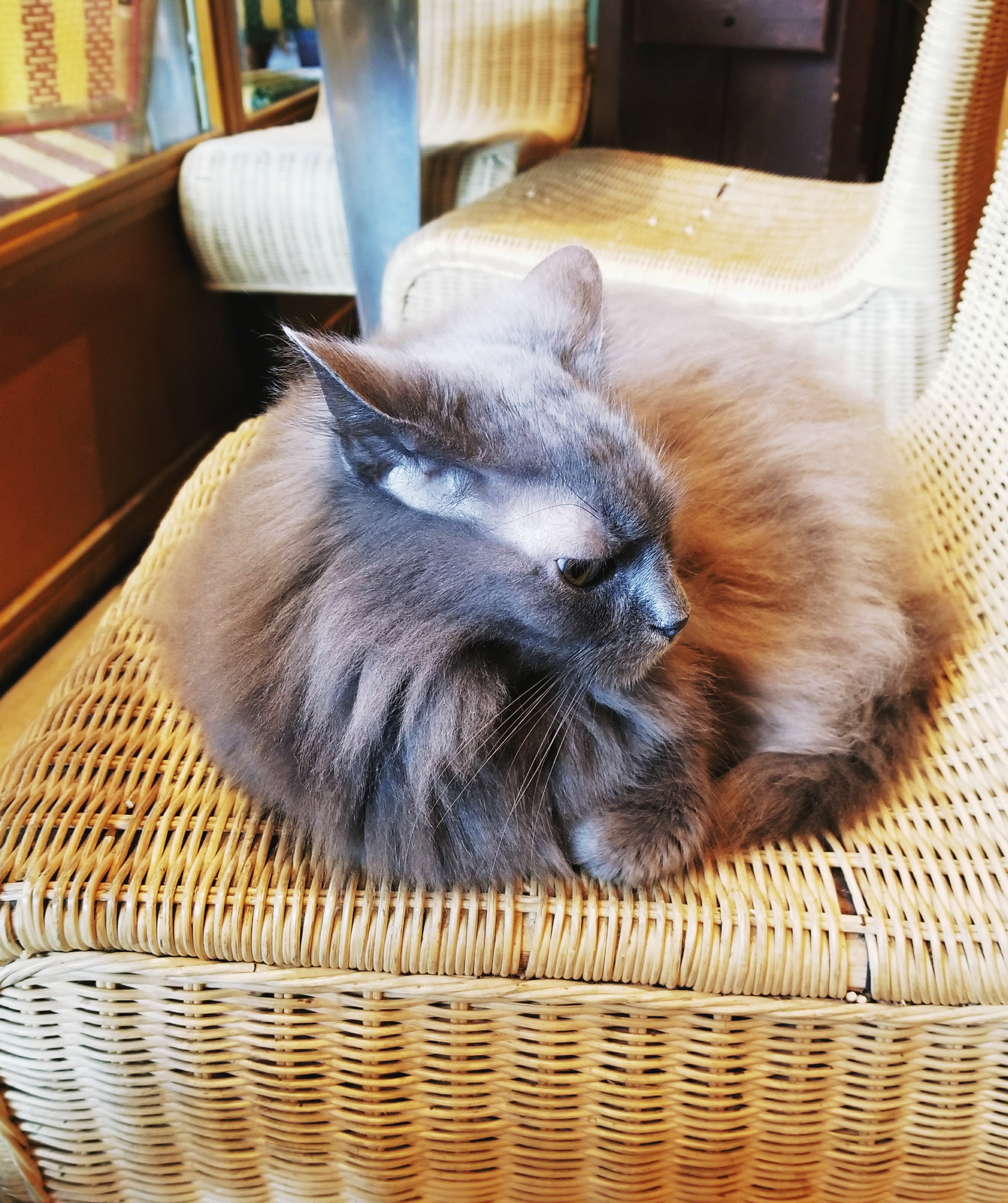 Lizzie does Paris - new French friend