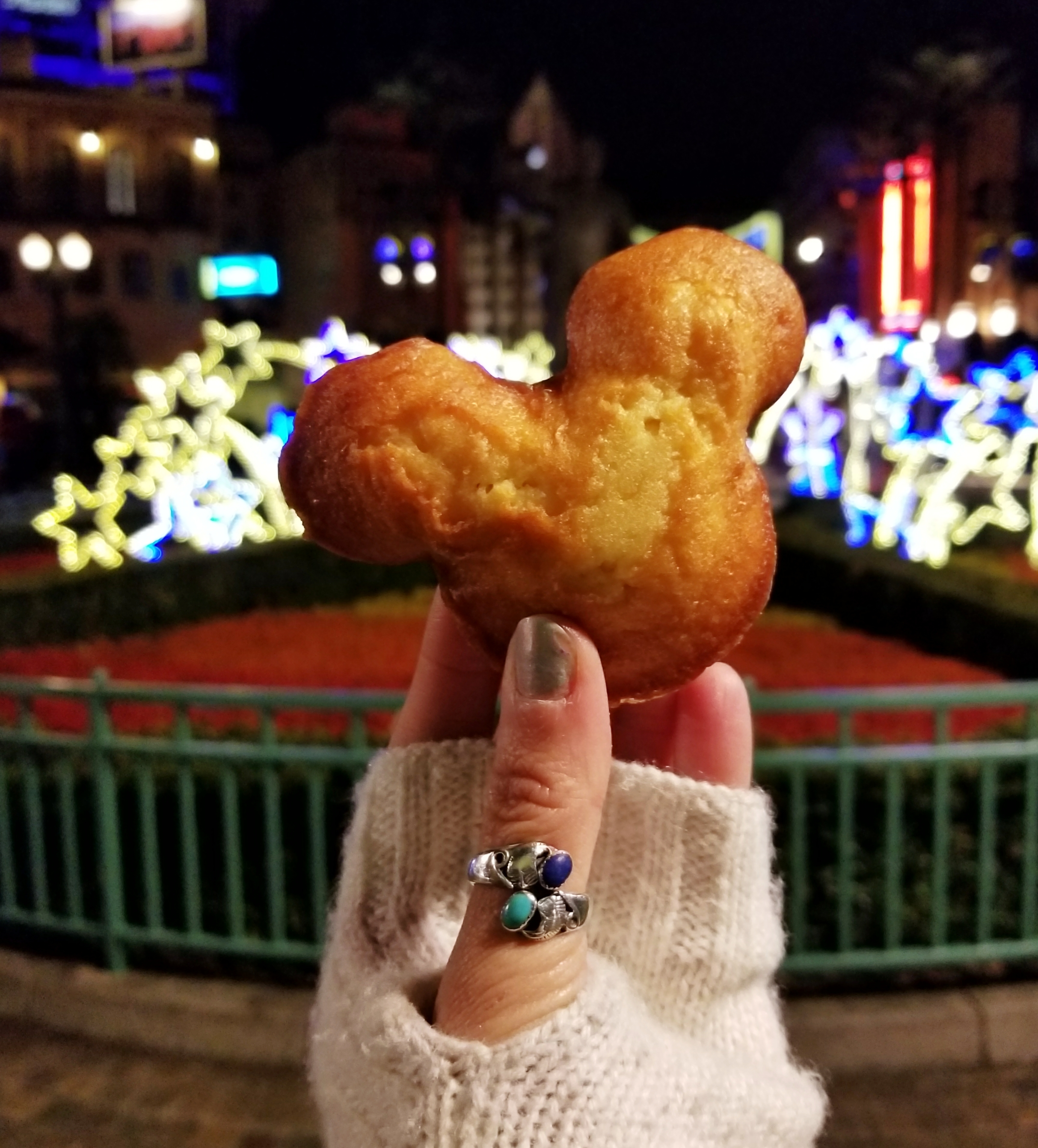 Lizzie does Disneland Paris